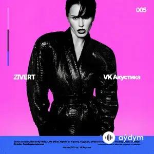 VK Акустика