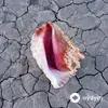 The Killers - Wonderful Wonderful