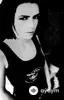 The Killers-Toni Halliday - A Great Big Sled