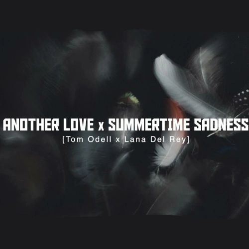 Another Love x Summertime Sadness - & TommyMuzzic & ZeddMusique (Speed Up + Reverb)