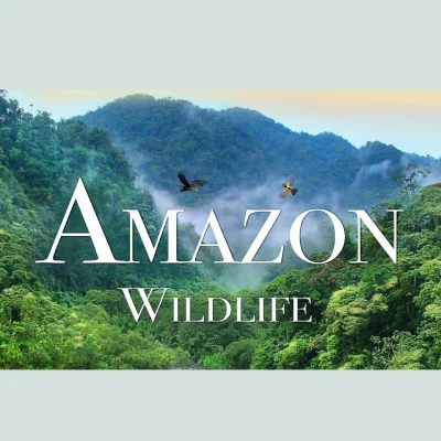 Дикая природа Амазонки. Колыбель жизни